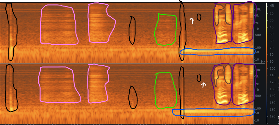 The shapes that noises take on in an audio spectrogram